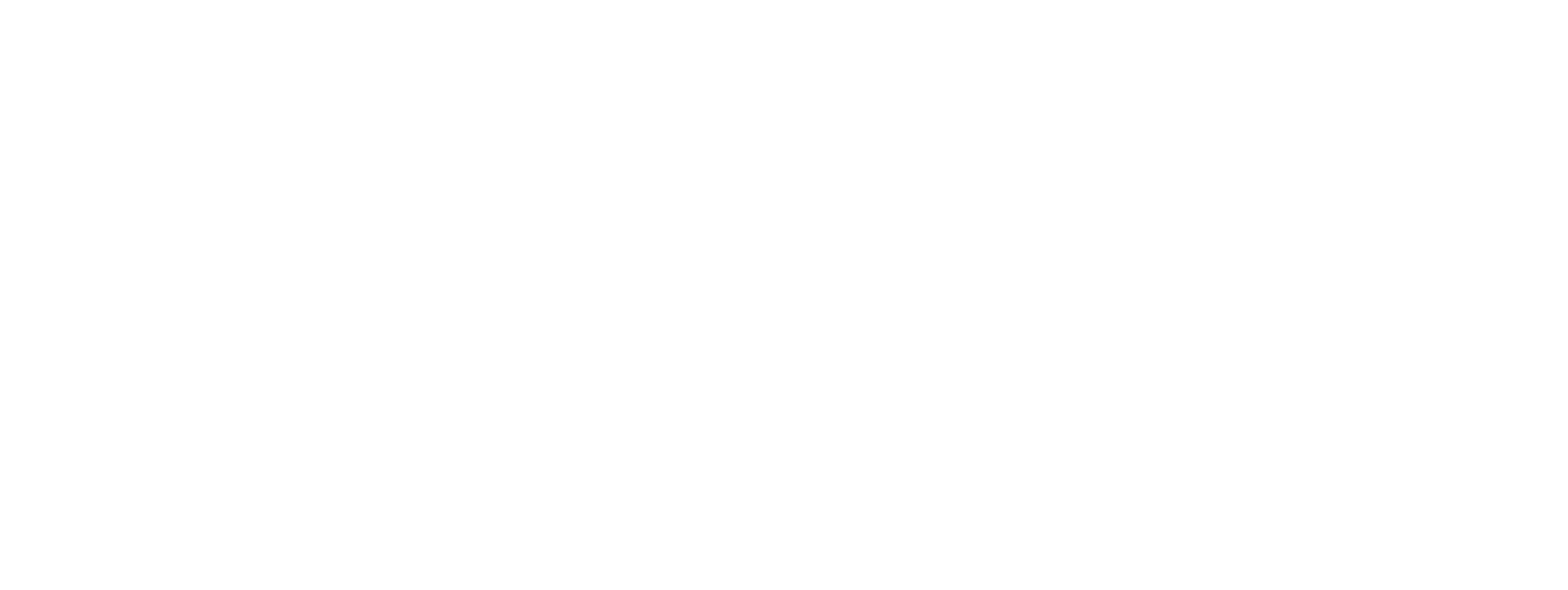 极星动力